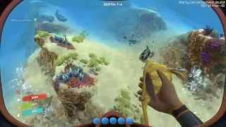 Subnautica PC 60FPS Gameplay | 1080p