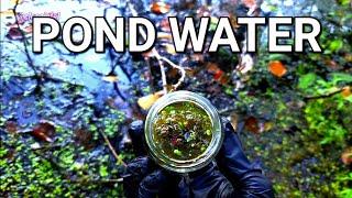 Getting Pond Water For Microscope