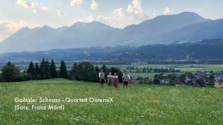 Gailtaler Schnasn - Quartett OisterniX