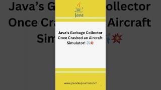 When Java’s Garbage Collector Took Down a Flight Sim!  #didyouknow  #didyouknowfacts #java