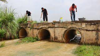 Fishing Video || Fishermen are fishing with hooks in the village canal || Excellent hook fishing