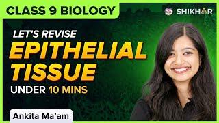 Epithelial Tissues| Revision | Tissues Science Chapter 6 | Class 9 | Biology | SHIKHAR 2024