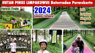 HUTAN PINUS LIMPAKUWUS Baturaden 2024‼️Update Terkini!