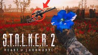 СУПЕР ХАБАР: АРТЕФАКТ ДИВНА КВІТКА, СХРОНИ ЖУРНАЛІСТА "МАЛА ЗОНА" STALKER 2: Heart of Chornobyl