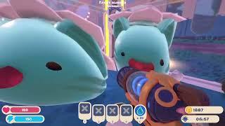 Мяуровый Вьюнок!  | Slime Rancher 2 №6