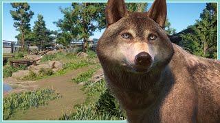 Timber Wolf Habitat! | River Rock Zoo Remodel | Planet Zoo Speed Build