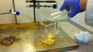 Real Chem: Synthesis Of Nitrocellulose