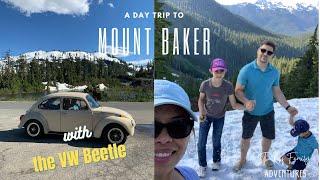 A Day Trip to Mount Baker | Mount Baker, Washington