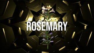 POCKETWATCH - ROSEMARY (LYRIC VIDEO)