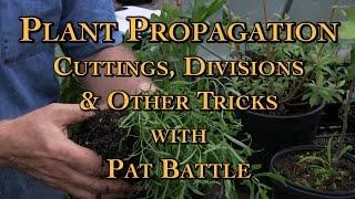 Plant Propagation Cuttings, Divisions & Other Tricks with Pat Battle
