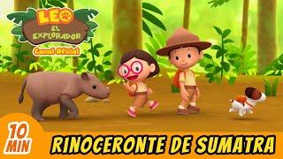 Rinoceronte de Sumatra  | Episodio Completo | Leo El Explorador