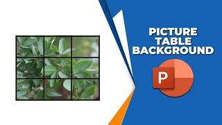 How to insert picture into table background in PowerPoint