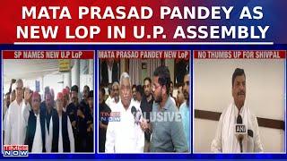 Samajwadi Party Picks Mata Prasad Pandey As Uttar Pradesh Assembly's Leader of Opposition