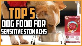  Top 5 Best Dog Food For Sensitive Stomachs of 2024