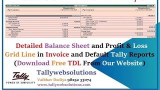 Detailed Balance Sheet & Profit & Loss with Grid Line in Tally Prime | Tallywebsolutions