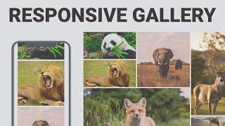 Responsive Image Gallery Using CSS Grid | HTML And CSS