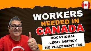 10 WORKERS NEEDED IN CANADA I LEGIT AGENCY I NO PLACEMENT FEE I BUHAY CANADA