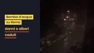 Temporale Roma oggi: bomba d'acqua 22 Settembre 2019. Danni e alberi caduti