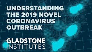 Understanding the 2019 Novel Coronavirus Outbreak