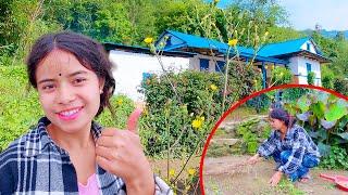 my daily vlogs from my village house @diwaaz