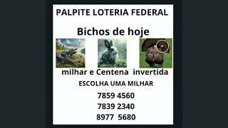 PALPITE DA LOTERIA FEDERAL