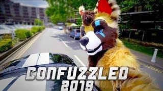 THE MOTORFURS MEETUP | Confuzzled 2019 Vlog #3