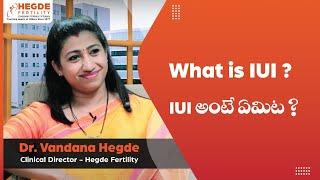 Top Fertility Hospital in Hyderabad | Q&A With Dr. Vandana Hegde | IUI Procedure |