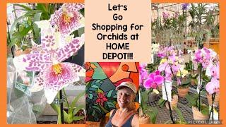 Let’s go shopping for more orchids at my local Home Depot!!!￼