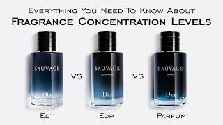 Everything You Need To Know About Fragrance Concentration Levels - EDT, EDP, Parfum, & MORE