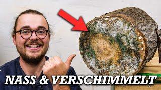 Was kann man aus diesem Holz noch machen?