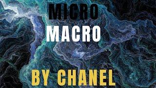 MICRO Y MACRO EXPLICADO POR CHANEL MLBB