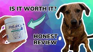 PetLab Co. ProBright Dental Powder Honest Review | Is it Worth it?