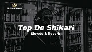 Top De Shikari TARNA BIG BRD  (Slowed & Reverb) || ROHAAN BADSHAH ||