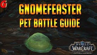 Gnomefeaster Pet Battle Guide - BFA