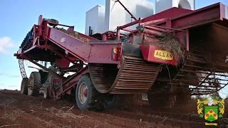 Monaghan Farms Potato Harvest | Prince Edward Island