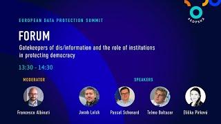 Gatekeepers of dis/information and the role of institutions in protecting democracy