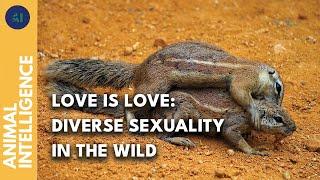How common is homosexuality among the wildlife? | AI