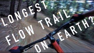 "Flow Trail" in Santa Cruz Is a Must Ride | Mountain Biking Northern California Trail Guide