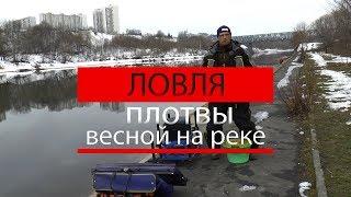 ловля плотвы весной на реке