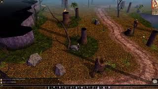 Neverwinter Nights Enhanced Edition Dark Dreams of Furiae Gameplay (PC Game)