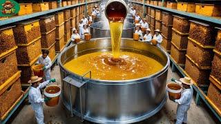 How Honey Is Made in Factory: From Hive to Jar in Mega Factories