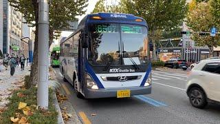  한국 서울의 버스 | Buses in Seoul South Korea (November 2022 | 2022년 11월)