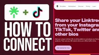 How To Make A Linktree On TikTok (Easy!)