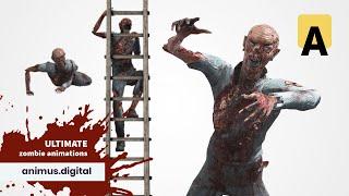 Zombie Animation Pack Ultimate Root Motion