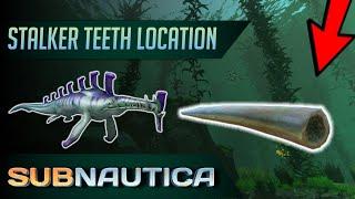 How to get Stalker Teeth in Subnautica. (UPDATED)