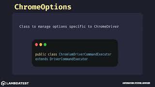 org openqa selenium chrome ChromeOptions with example