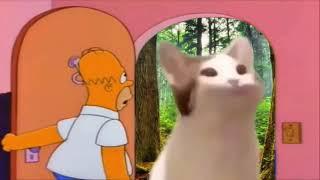 Pop Cat Meme Compilation