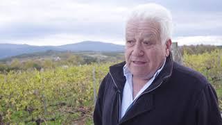 Quinta do Buble, o godello de Monterrei que fala alemán