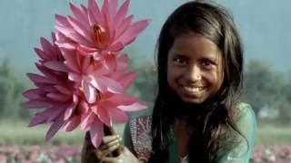 Visit Bangladesh  - Life Happens Here