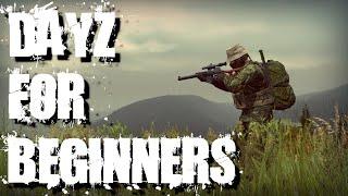 Dayz for beginners on pc 2020